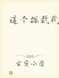 这个总裁我要了