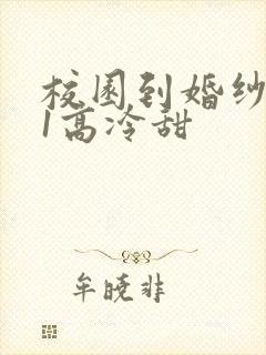 校园到婚纱1V1高冷甜