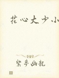 花心大少小说