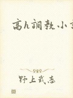 高h调教小说