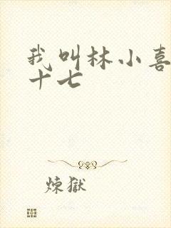 我叫林小喜今年十七封面