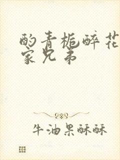 酌青栀醉花阴贺家兄弟封面