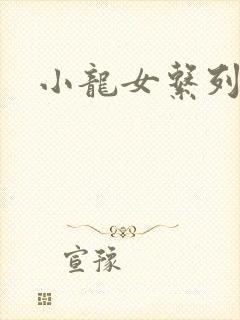 小龙女系列小说