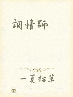 调情师封面