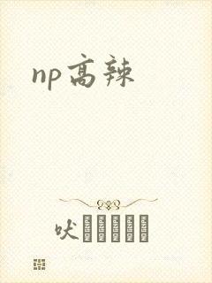 np高辣