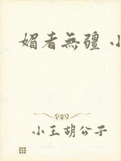 媚者无疆 小说