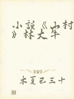 小说《山村情事》林大牛