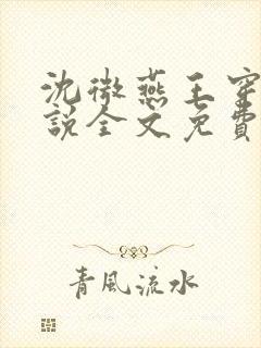 沈微燕王穿越小说全文免费阅读