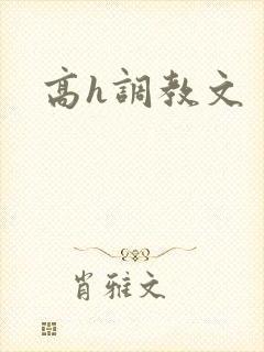 高h调教文
