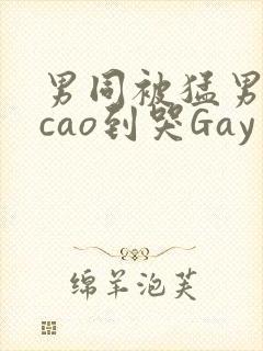 男同被猛男房东cao到哭Gay