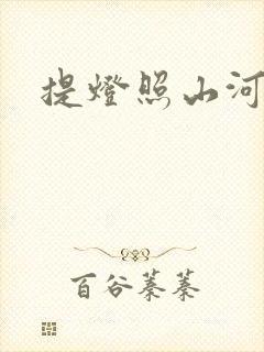 提灯照山河