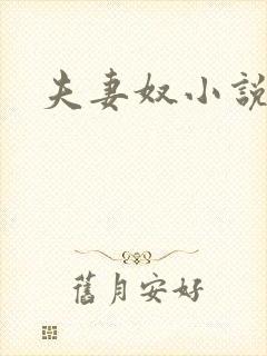 夫妻奴小说封面