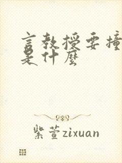 言教授要撞坏了是什么