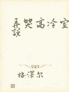 弄哭高冷室友小说