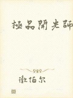 极品开光师