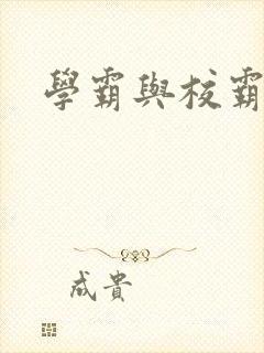 学霸与校霸