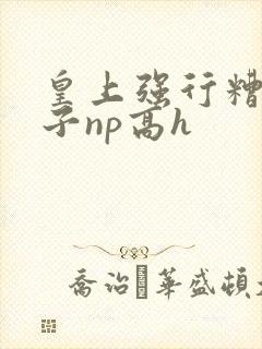 皇上强行糟蹋太子np高h