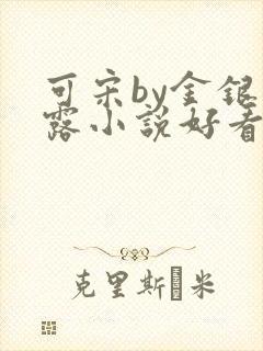 可宋by金银花露小说好看吗