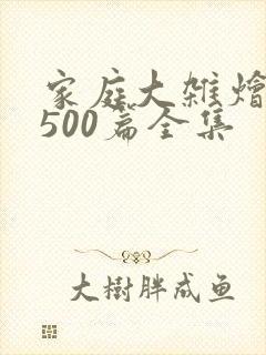 家庭大杂烩小说500篇全集
