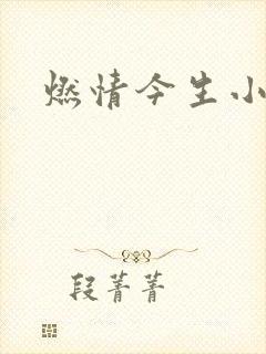燃情今生小说