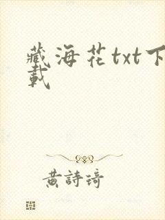 藏海花txt下载封面