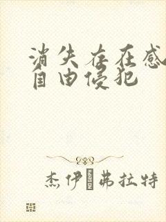 消失存在感消失自由侵犯封面