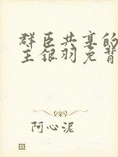 群臣共享的小公主银羽免背刺封面