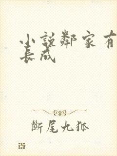 小说邻家有女初长成封面