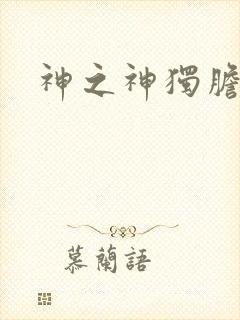神之神独胆王封面