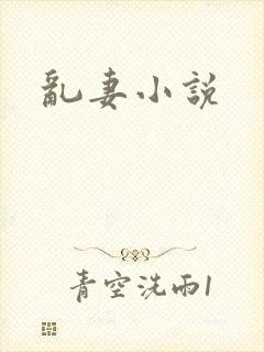 乱妻小说封面