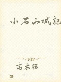 小石山城记封面