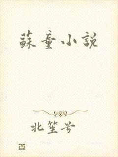 苏童小说