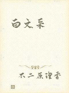 白文采