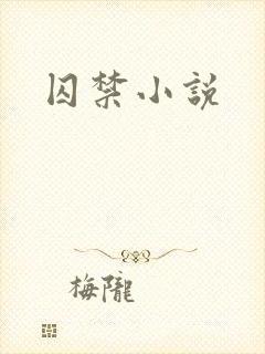 囚禁小说