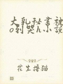 大乳秘书被cao到哭h小说