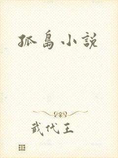 孤岛小说封面