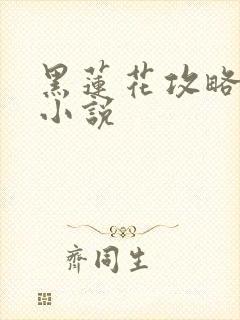黑莲花攻略手册小说