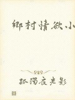 乡村情欲小说