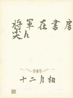 将军在书房含乳尖h