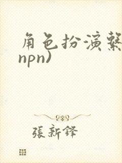 角色扮演系统(npn)