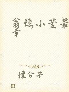 翁熄小莹最新节章