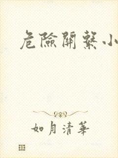 危险关系小说