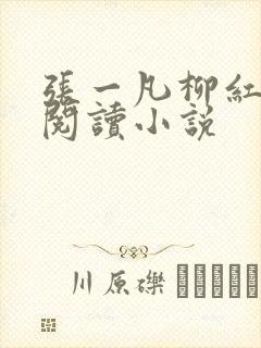 张一凡柳红免费阅读小说封面