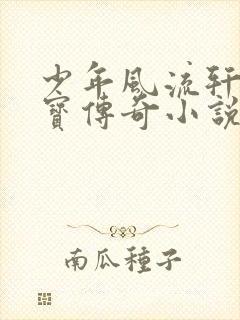 少年风流轩辕大宝传奇小说封面