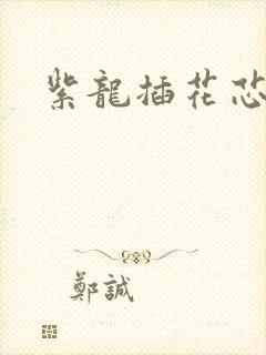 紫龙插花芯方正