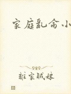 家庭乱仑小说封面