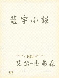 蓝宇小说