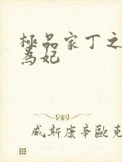 极品家丁之册母为妃