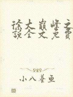 徐大巅峰之路小说全文免费阅读