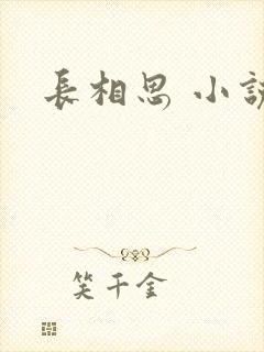 长相思 小说